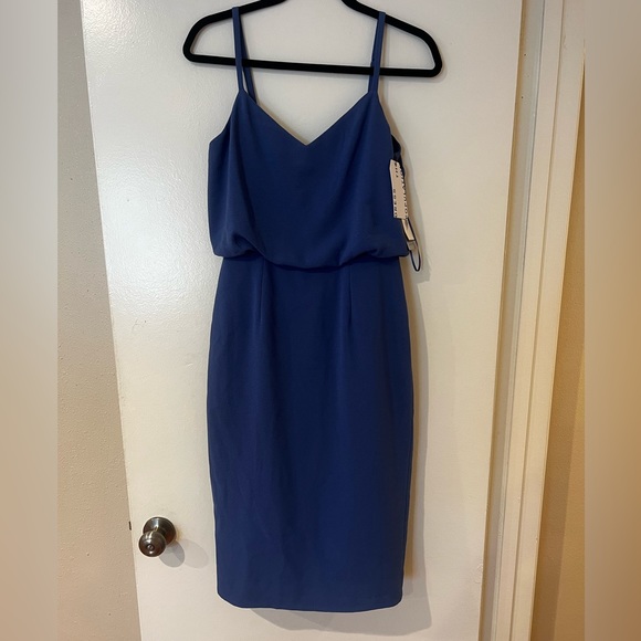 Dress the Population Dresses & Skirts - NWT Dress the Population Midi Dress Size S